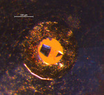 Top view of DAC loading © S. Merkel, Univ. Lille, France